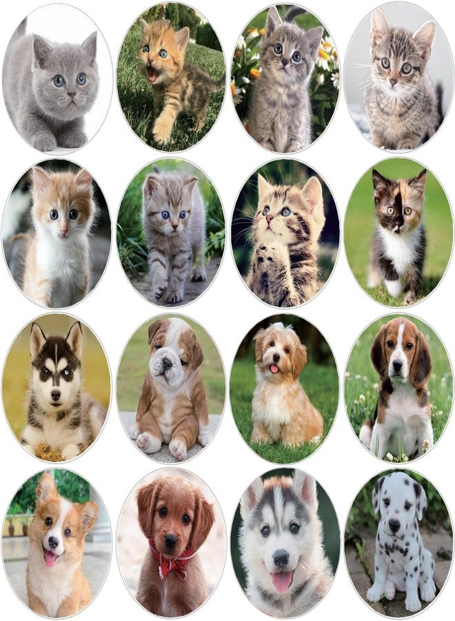 Hohamn 600 Pcs Puppy and Kitten Stickers for Kids Teachers 1.5 Inch 16 Styles Dog Cat Stickers for Kids Birthday Party School Reward Giveaways - Image 1