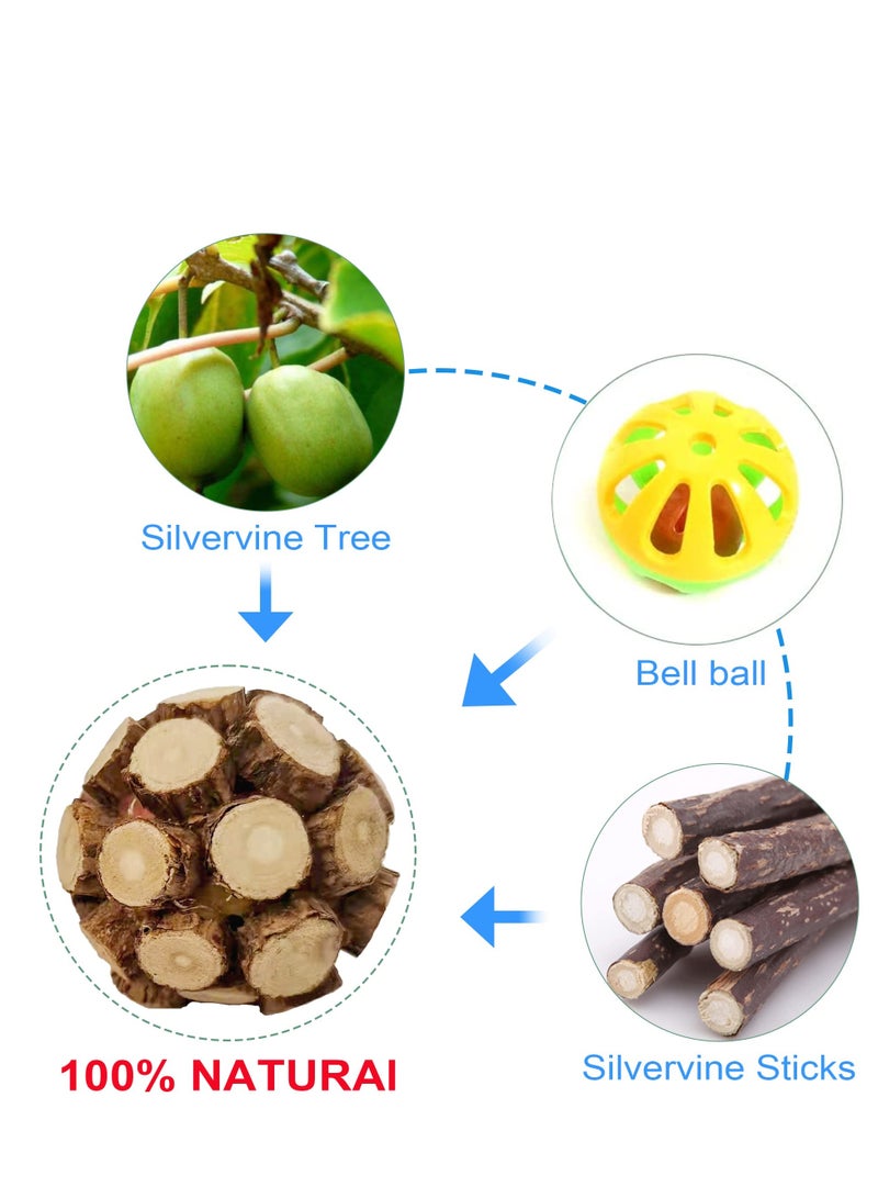 KASTWAVE 2 قطع لعبة كرة جرس بالة رتان طبيعية للنباتات الضارة للقطط، لطحن أسنان القطط، كرة صغيرة قابلة للمضغ، ألعاب قطط صغيرة لتنظيف الأسنان في الداخل - Image 3