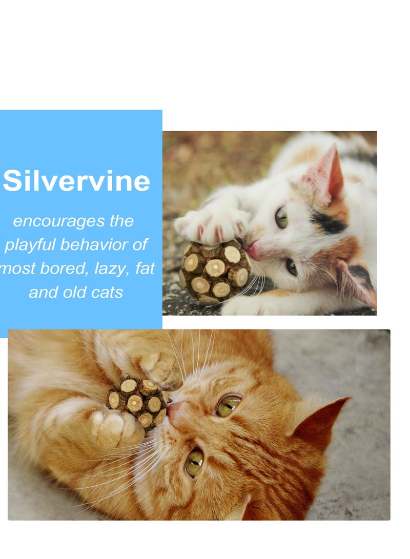 KASTWAVE 2 قطع لعبة كرة جرس بالة رتان طبيعية للنباتات الضارة للقطط، لطحن أسنان القطط، كرة صغيرة قابلة للمضغ، ألعاب قطط صغيرة لتنظيف الأسنان في الداخل - Image 5