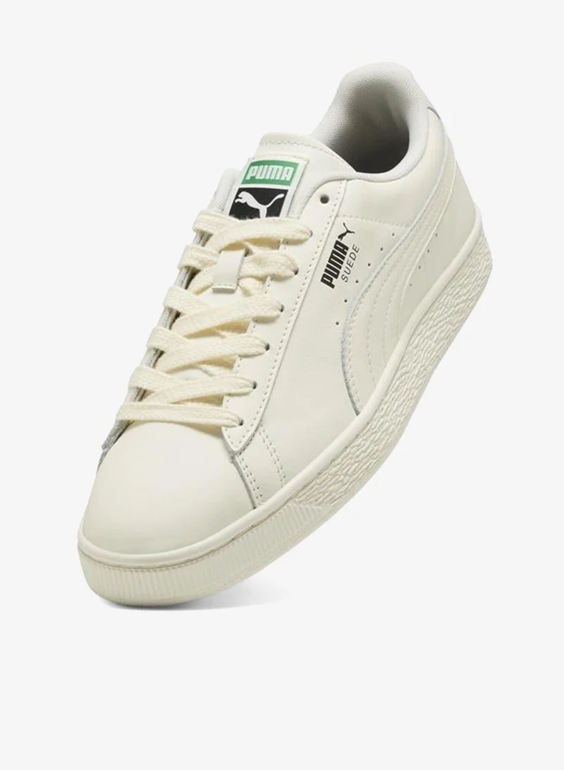 Puma Warm White-Archive Green Suede Sneakers Unisex  | Best Price UAE