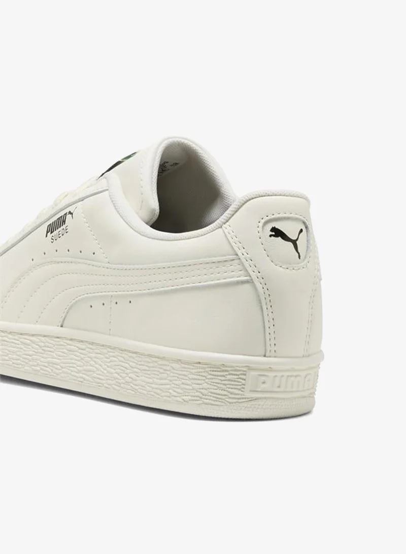Puma Warm White-Archive Green Suede Sneakers Unisex  | Best Price UAE