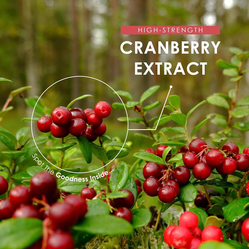 ALPHA01 Cranberry Extract 52,500mg â€“ 180 Vegan Capsules â€“ High Strength 50:1 Cranberry Extract (Vaccinium Macrocarpon) â€“ Resealable and Recyclable Pouch by Alpha01 - Image 4