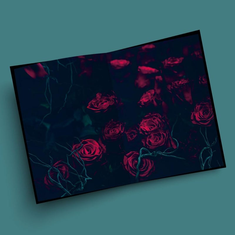 The Coven: Special Edition - Image 2