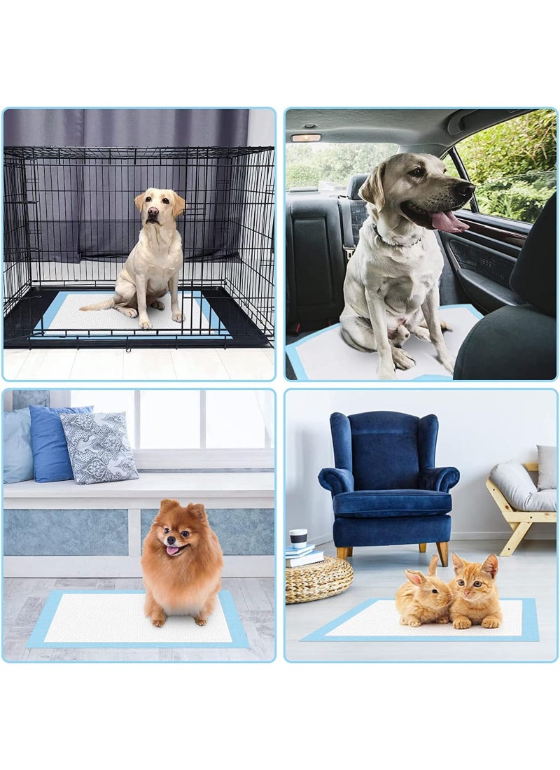 Mumoo Bear Puppy Training Pads 2 Kg - Image 2