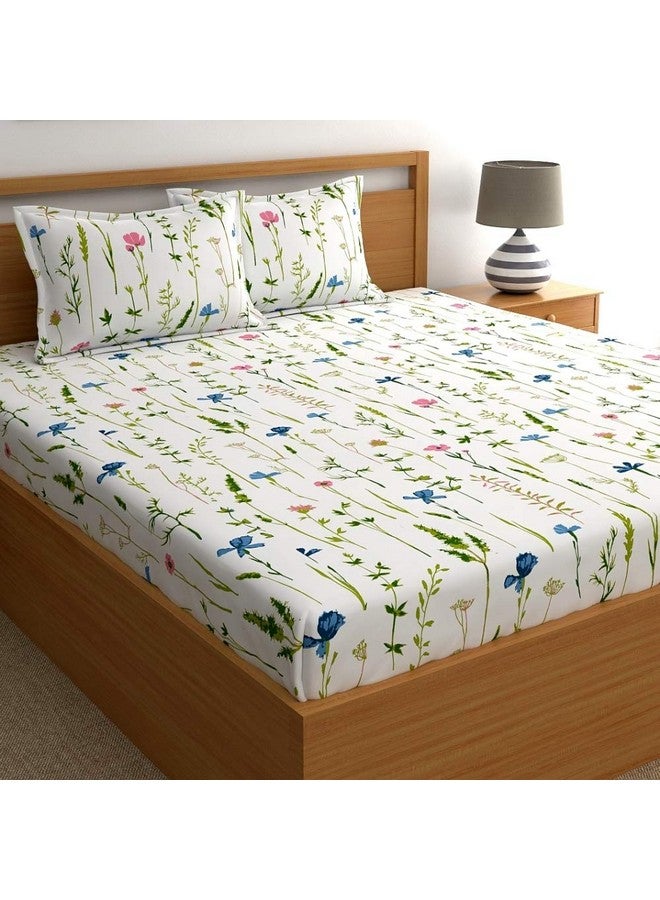 Home Ecstasy ملايات سرير كينج من هوم إكستاسي 100% قطن مع 2 غطاء وسادة، ملايات قطن مزخرفة زرقاء 140tc لسرير كينج (9 قدم × 9 قدم) - Image 1