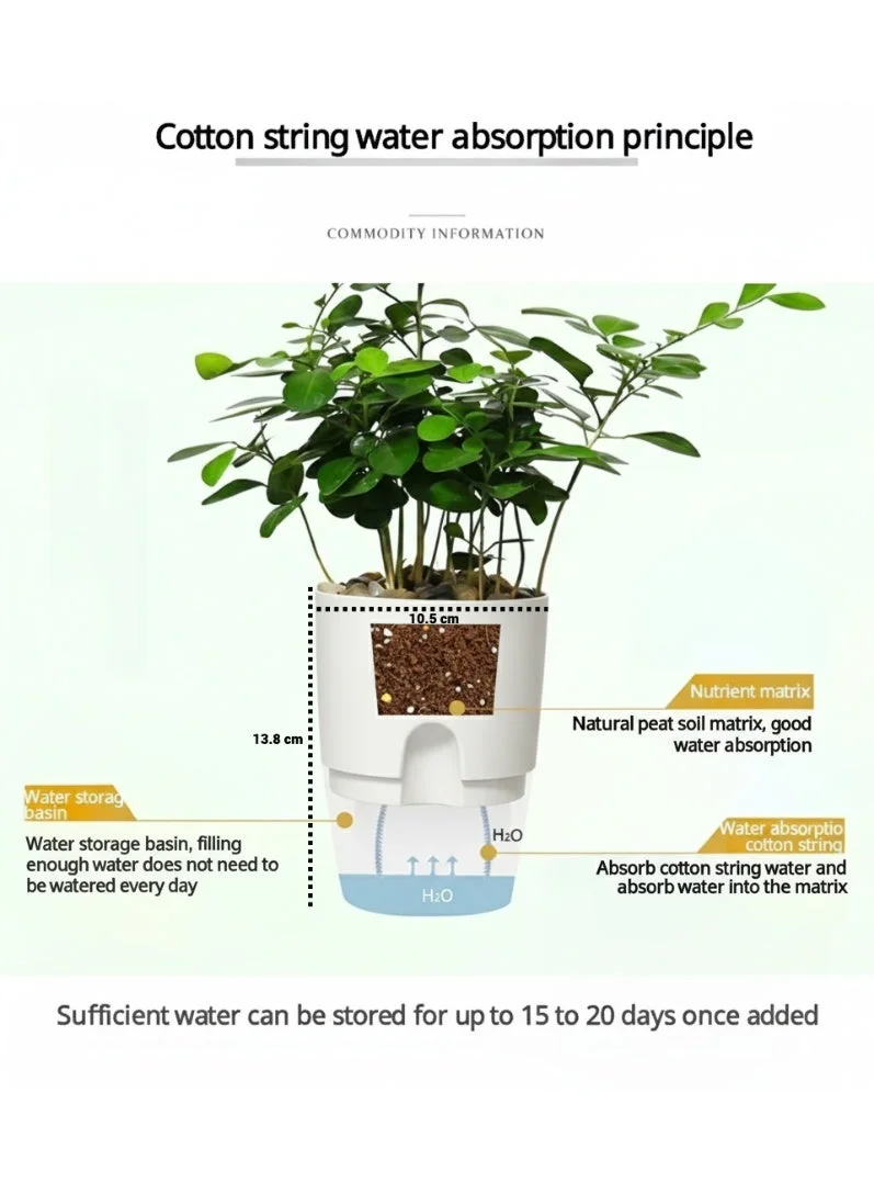 Thugfit  Self-Watering Planter Pots with Water Inlet Lip and Clear Deep Reservoir - Modern Indoor/Outdoor Flower Pots for Windowsill, Home Decor & African VioletsMEDIUM 3 POTS PACK A705  | Best Price UAE