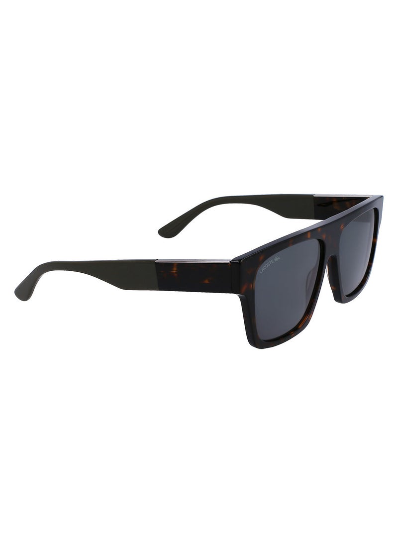 LACOSTE مستطيل كامل الحواف أسيتات لاكوست صنز L984S 5714 (230) هافانا داكن - Image 2