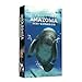 BAD COMET Life of The Amazonia Board Game Strategic JungleBuilding Game for 14 Players Ages 14 60150 Min Play Restore The Jungle Place Animals Plants MiniExpansion - Image 2