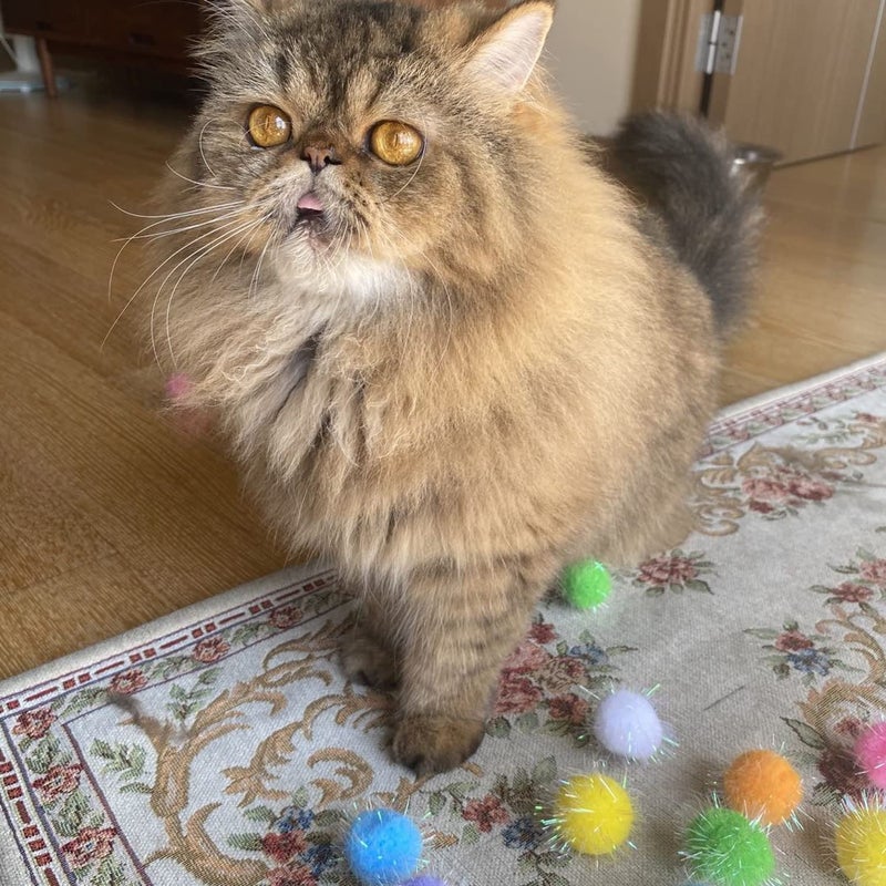 RIMOBUL 20PCS 1.5INCH Extra Large Cat's Favorite Chase Glitter Ball Toy Sparkle Pom Pom Balls - Image 4