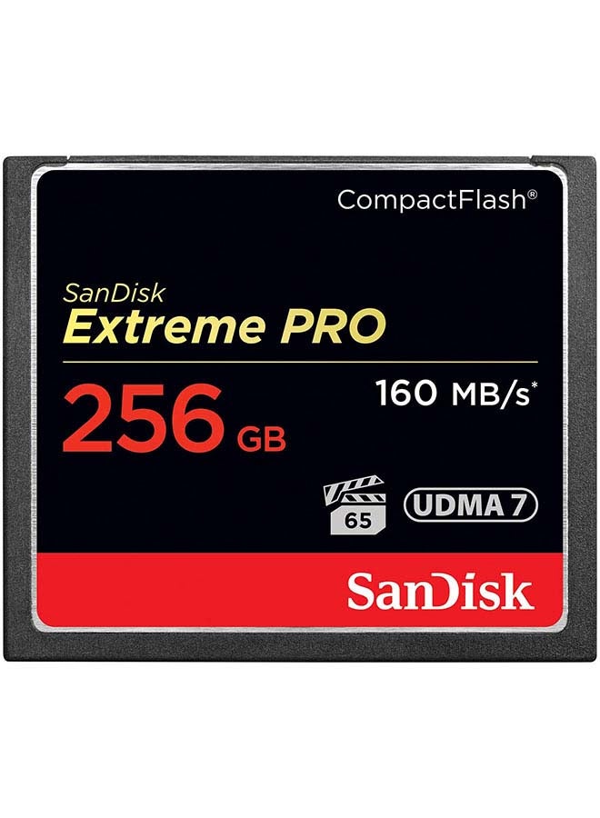 sandisk 256 GB Extreme PRO Read Speed 160 MBps Write Speed 90 MBps VPG 65, UDMA 7, SDCFXPS-256G-X46 - Image 5