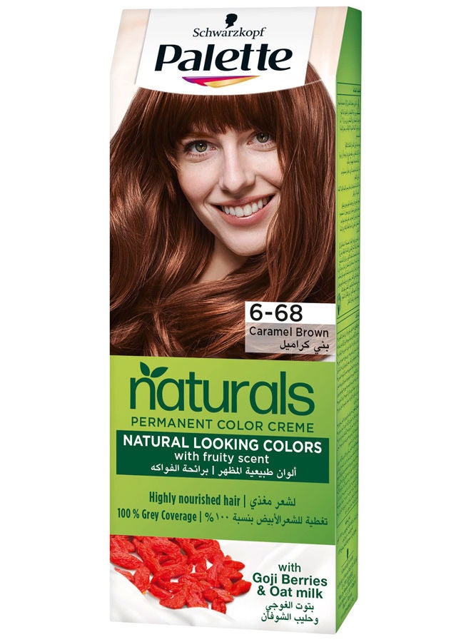 باليت صبغة كريم طبيعية دائمة للشعر - Image 1