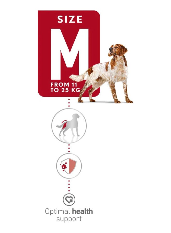 رويال كانين طعام رويال كانين الجاف للكلاب البالغة متوسطة السلالة (12 شهرًا فأكثر و11-25 كجم)، 4 كجم - Image 4