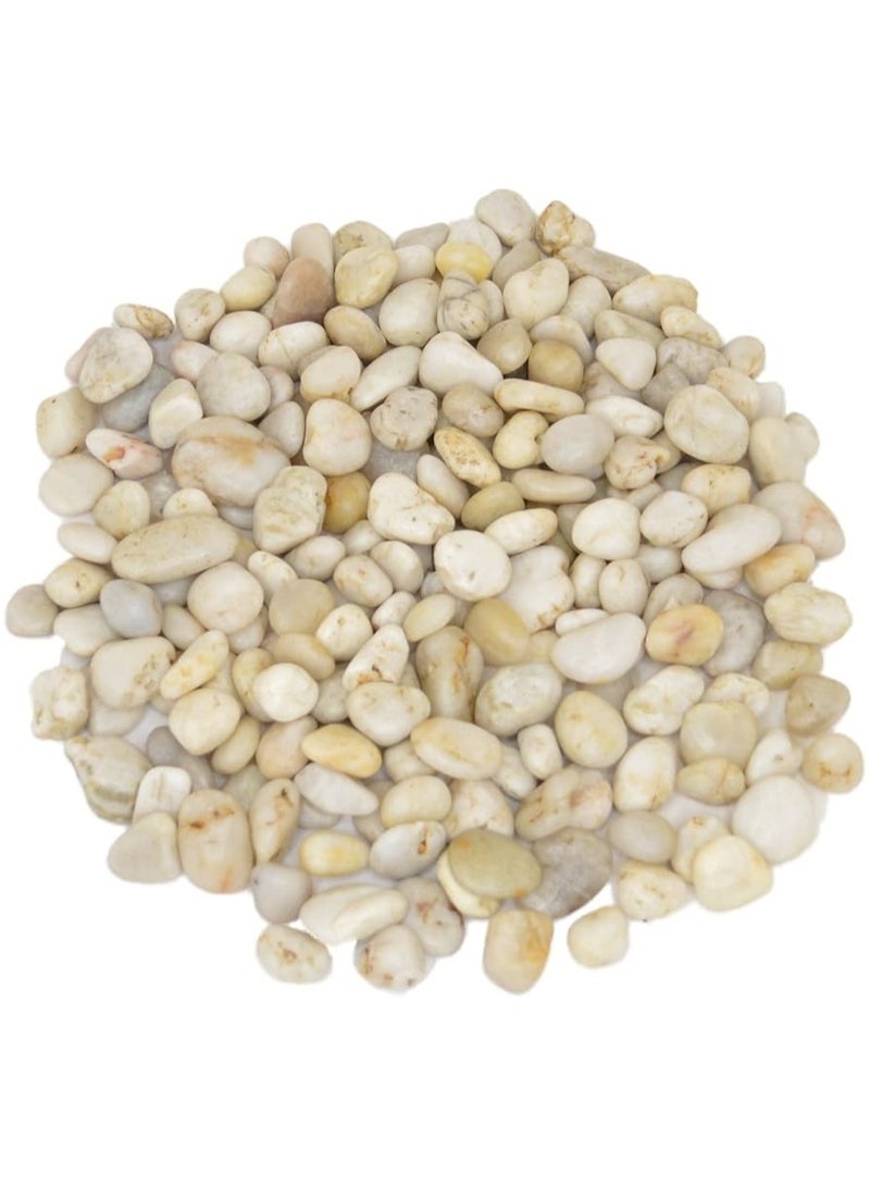 High quality polished natural pebble stones in fancy pebble design for flower pots, vases, fish tank, garden, home and wedding decorations - Image 3