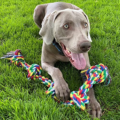 Agirav Dog and Puppy Toy Set - Chew, Teething, Rope, and Tug Toys for Small to Medium Dogs - Washable Cotton Pack of 12 - Image 5