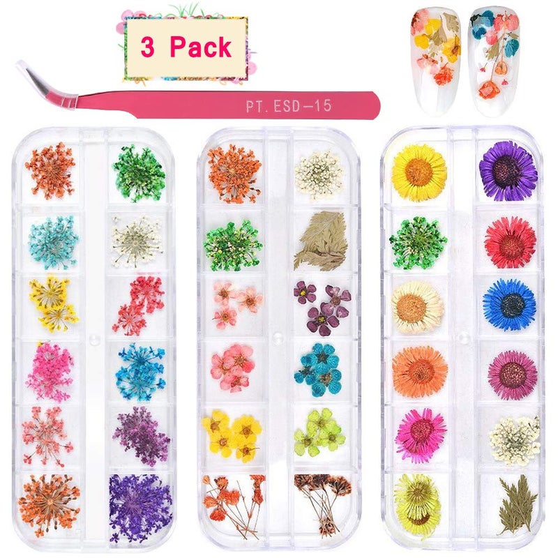 KISSBUTY 36 Colors Dried Flowers & Leaves Nail Art Set, 3D Applique Nail Decoration Sticker, Daisy, White, Pink, White with Yellow, Green