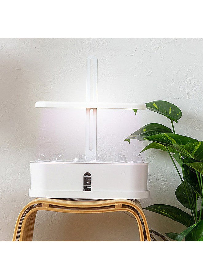 Generic - 10 Pods Hydroponic Growing System - Image 1