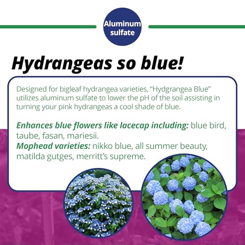 Jacks Classic Jack's Classic 7-3-3 Hydrangea Blue Water-Soluble Fertilizer with Micronutrients to Enhance Blue Flowers, 1.5lbs - Image 4