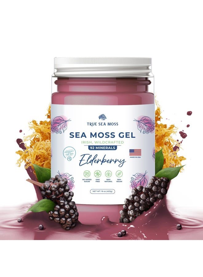 True Sea Moss Wildcrafted Irish Sea Moss Gel - Made with Dried Seaweed & Fresh Sea Vegetables, Seamoss - Made in USA (Elderberry, Pack of 1) - Image 1