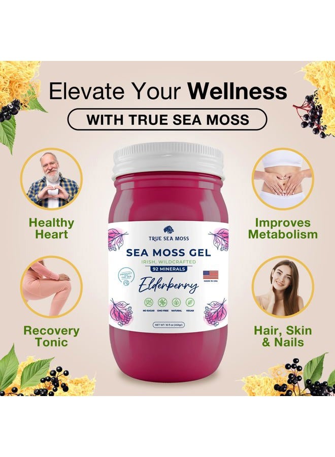 True Sea Moss Wildcrafted Irish Sea Moss Gel - Made with Dried Seaweed & Fresh Sea Vegetables, Seamoss - Made in USA (Elderberry, Pack of 1) - Image 2