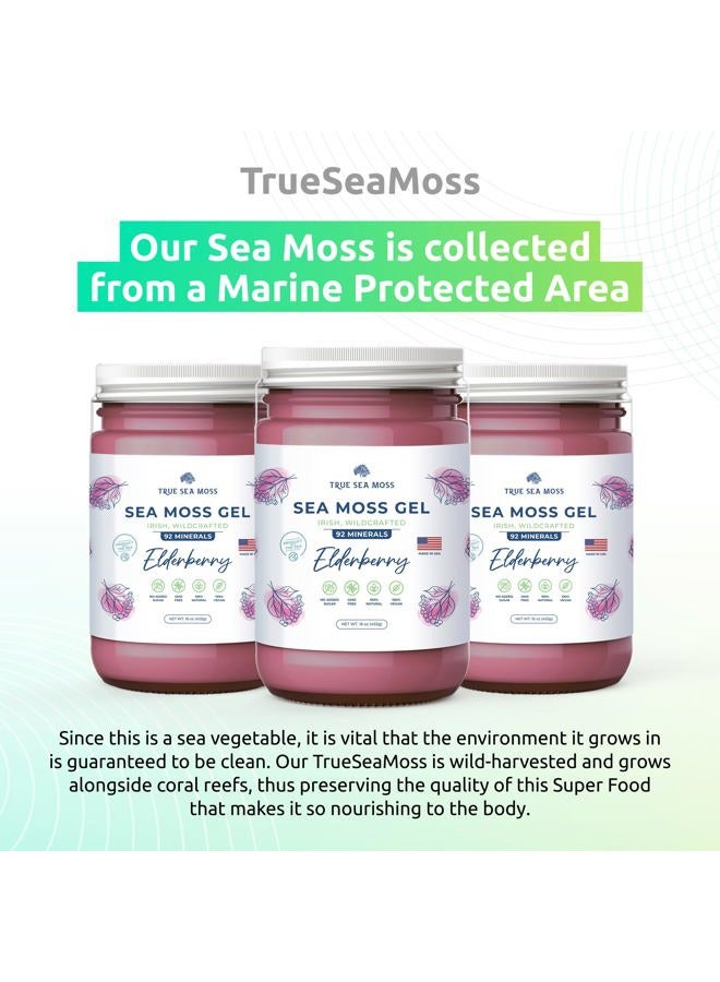True Sea Moss Wildcrafted Irish Sea Moss Gel - Made with Dried Seaweed & Fresh Sea Vegetables, Seamoss - Made in USA (Elderberry, Pack of 1) - Image 5