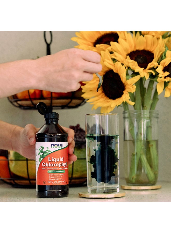 Now Foods Chlorophyll liquid Mint Flavour 16 Fl Oz. - Image 4