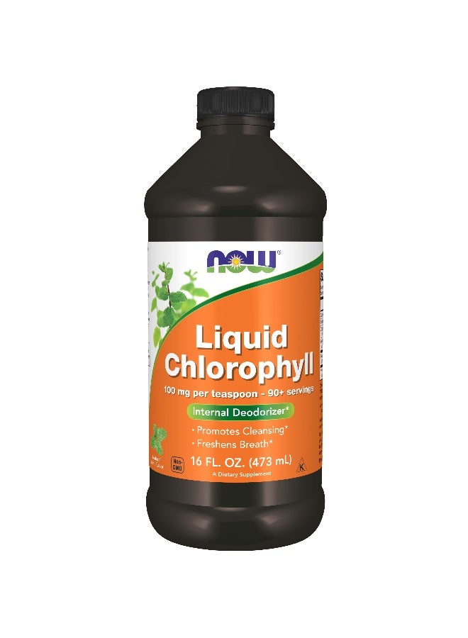 Now Foods Chlorophyll liquid Mint Flavour 16 Fl Oz. - Image 1