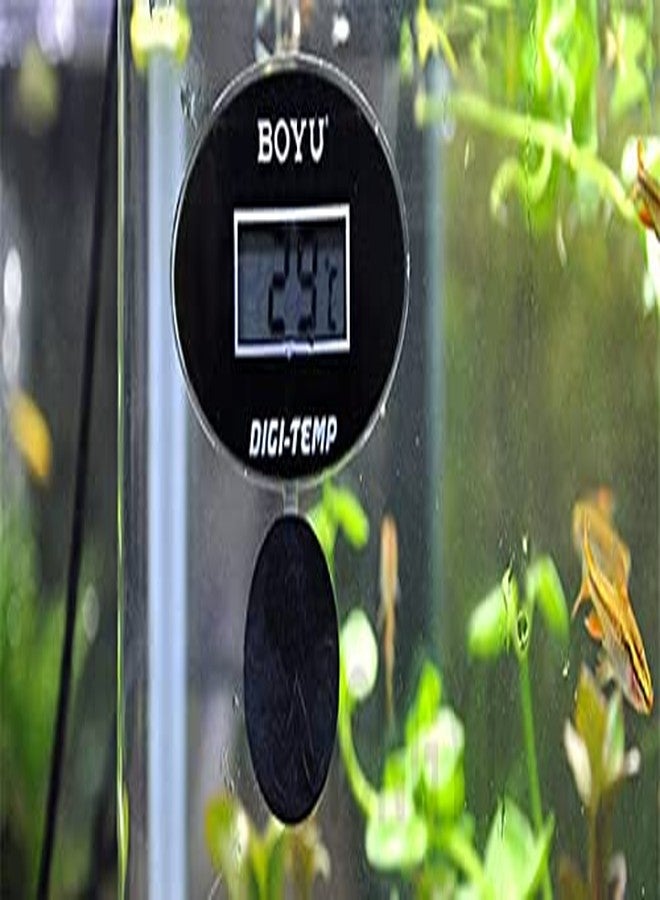 Western Era Boyu Digital Submersible Thermometer for Aquarium & Fish (Type 1) - Image 1