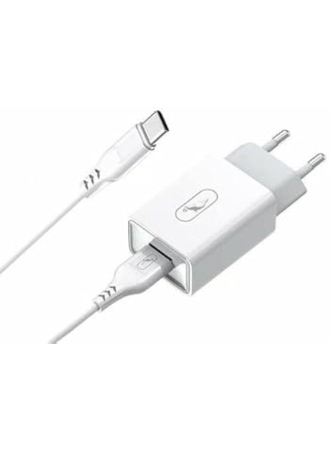 Denmen USB Type-C Charger, compatible with devices with a USB Type-C port, with a micro USB cable and 2.4A output - White - Image 1