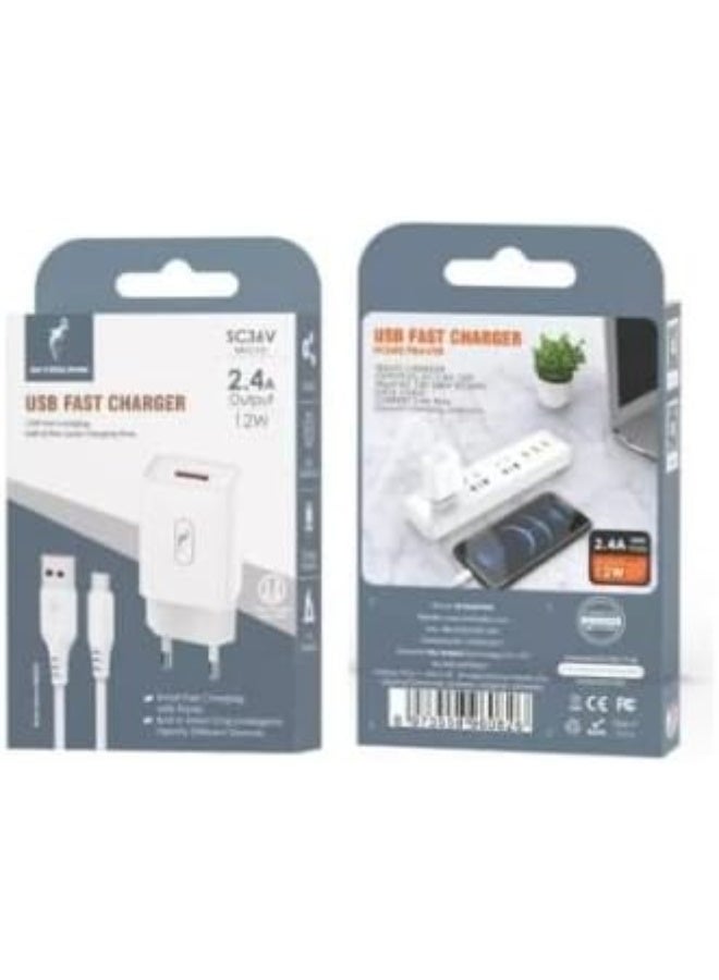 Denmen USB Type-C Charger, compatible with devices with a USB Type-C port, with a micro USB cable and 2.4A output - White - Image 2