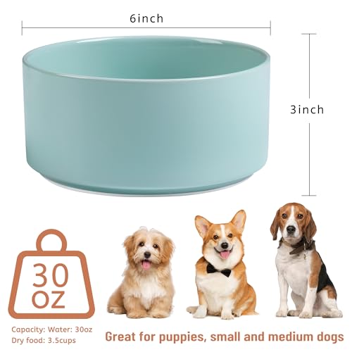 Kitwinney Dog Bowls Non Slip Heavy Ceramic Dog Food and Water Bowl with Silicone Base Pet Feeding Bowl for Puppies Small and Medium Dogs Glossy Light Green 6 Inches - Image 3