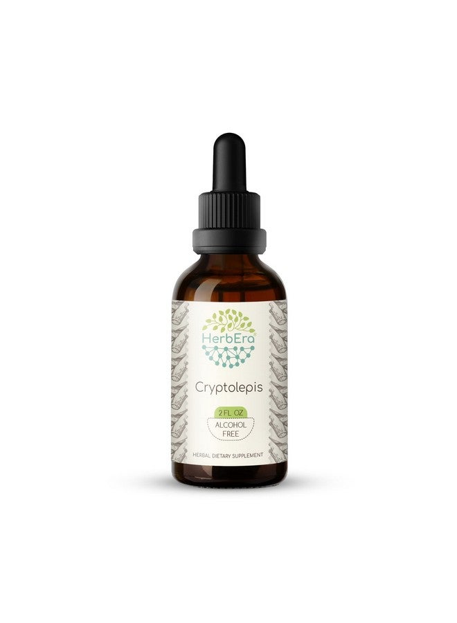 HerbEra Cryptolepis B60 Alcoholfree Herbal Extract Tincture Superconcentrated Wildcrafted Cryptolepis (Cryptolepis Sanguinolenta) Dried Root (2 Fl Oz) - Image 2