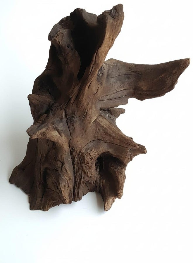 aqua nature AquaNature® Natural Small Driftwood for Aquarium Decor,Reptile Decor, Assorted Driftwood, Hardscape Material, Planted Aquascape Driftwood (ADW072 - (21x10x17cm)) - Image 3