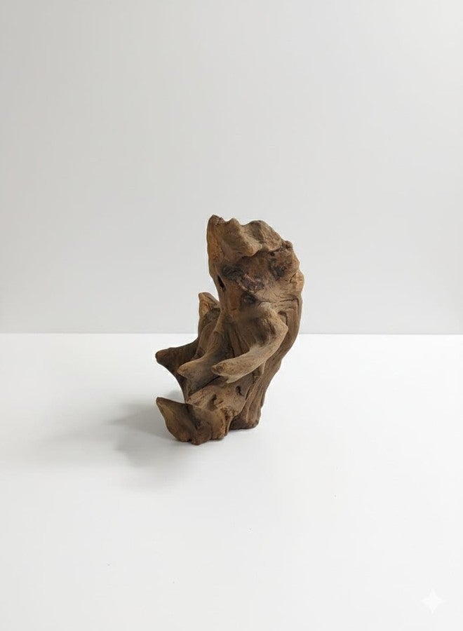 aqua nature AquaNature® Natural Small Driftwood for Aquarium Decor,Reptile Decor, Assorted Driftwood, Hardscape Material, Planted Aquascape Driftwood (ADW072 - (21x10x17cm)) - Image 4