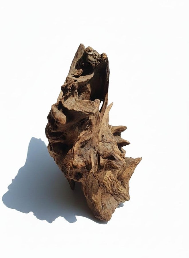 aqua nature AquaNature® Natural Small Driftwood for Aquarium Decor,Reptile Decor, Assorted Driftwood, Hardscape Material, Planted Aquascape Driftwood (ADW072 - (21x10x17cm)) - Image 1