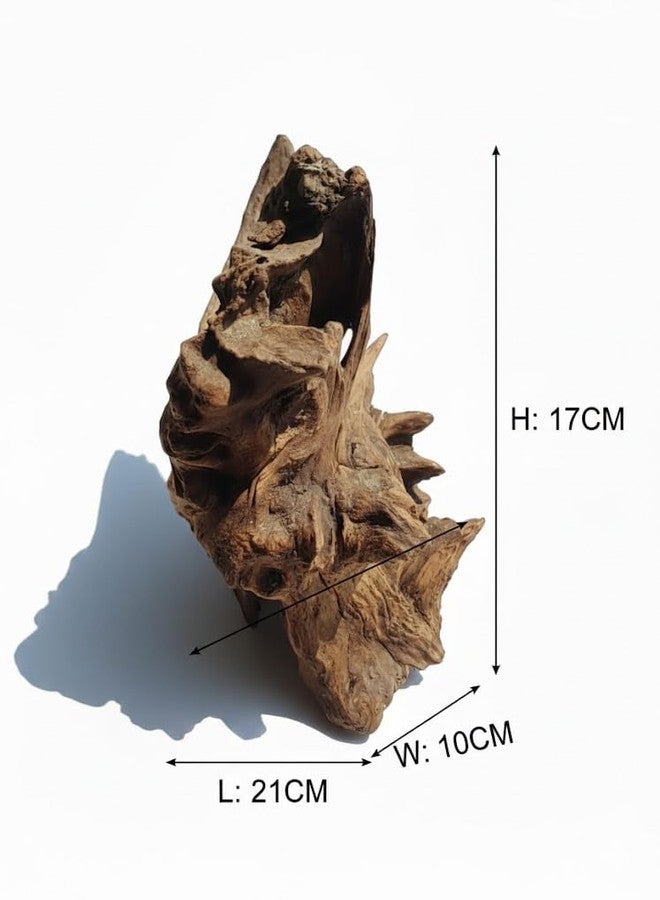 aqua nature AquaNature® Natural Small Driftwood for Aquarium Decor,Reptile Decor, Assorted Driftwood, Hardscape Material, Planted Aquascape Driftwood (ADW072 - (21x10x17cm)) - Image 5