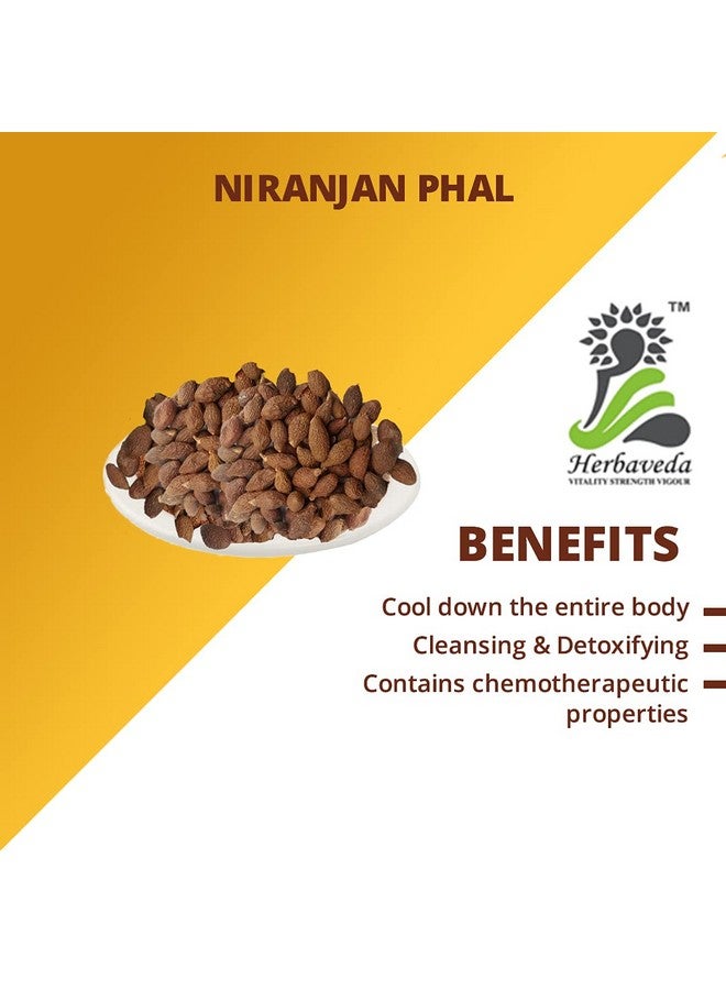 LEANBEING Herbaveda- Niranjan Phal - Sterculia Lychnophora - Malva Nuts (500 Grams) - Image 4