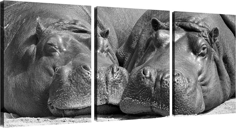 NAN Wind Black and White Hippo Canvas Wall Art Set - Image 1