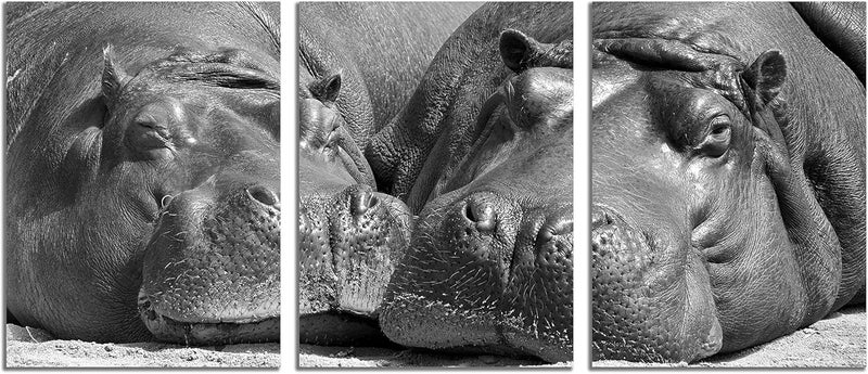 NAN Wind Black and White Hippo Canvas Wall Art Set - Image 2