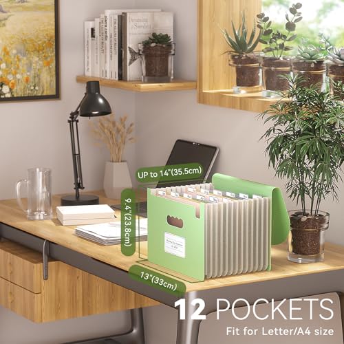 EcoStash Accordion File Organizer, 12-Pocket Wheat Straw Expanding File Folder, Portable Monthly Bill & Tax Receipt Organizer, Letter/A4 Size Document Holder with Colorful Tabs-Grass Green - Image 2