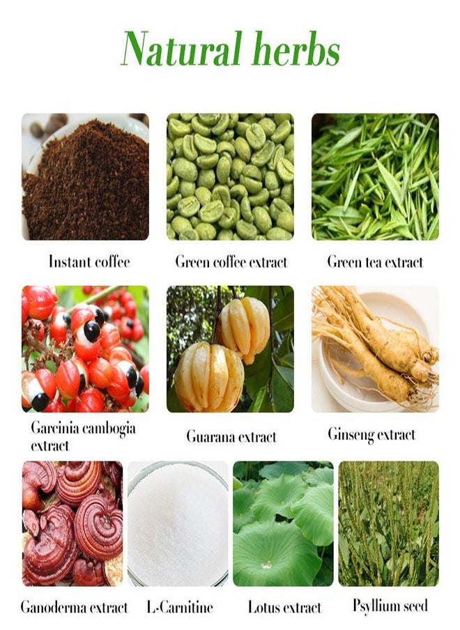 Wins Town Light Green Coffee for Weight Loss, Natural Herbal Weight Loss, Ganoderma Coffee, Contains Ganoderma, Box of 18  - Image 2