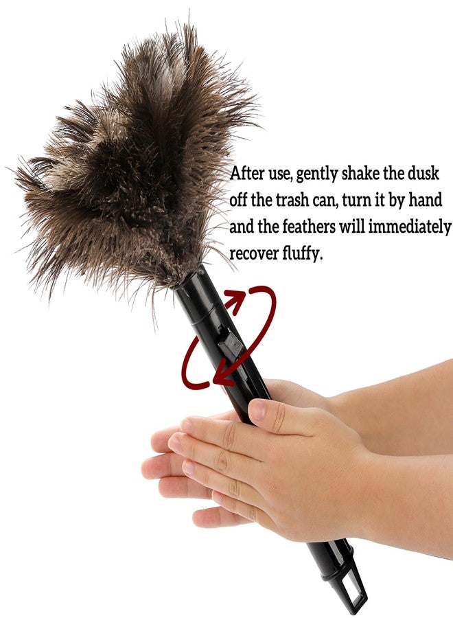 Goaste مجموعة 2 من ممسحة ريش النعام من جوست، 10 بوصة ممسحة ريش طبيعية ناعمة، ممسحة ريش ناعمة بمقبض بلاستيكي، أدوات تنظيف ريش النعام القابلة للتمديد للوحة المفاتيح، المنزل، السيارة، المكتب - Image 5