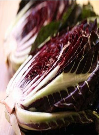 Radicchio Seeds – Oblong Deep Red Fast-Growing Radicchio | Cichorium intybus | Never GMO Always Heirloom and Open-Pollinated | USA Grown Seeds by  | - pzsku/Z88A97111FF09A1B06755Z/45/_/1740894995/4a6c48b4-d4c7-4d51-a9e6-9c552bf786f6