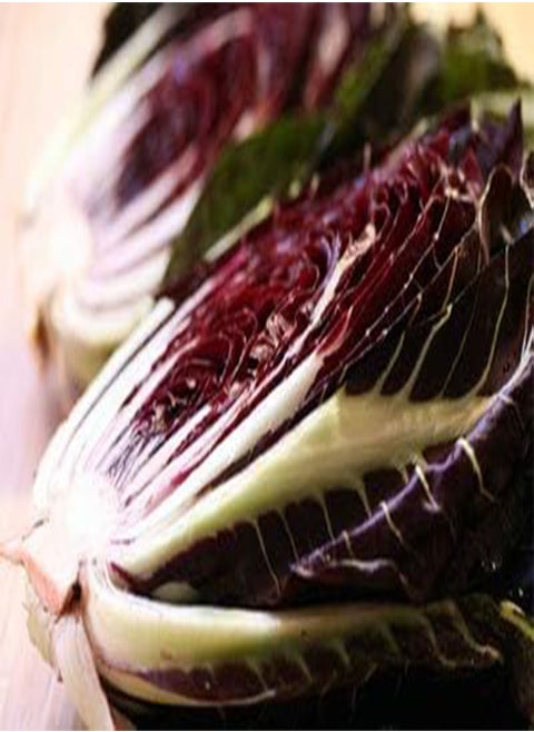 Radicchio Seeds – Oblong Deep Red Fast-Growing Radicchio | Cichorium intybus | Never GMO Always Heirloom and Open-Pollinated | USA Grown Seeds by  |