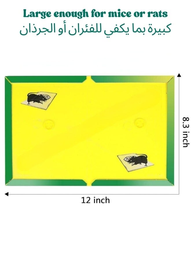 Generic 6 Pack Large Mouse Glue Traps with Enhanced Stickiness, Rat Mouse Traps, Snake Mouse Traps Sticky Pad Board for House Indoor Outdoor,Easy to Set,Extra Large (8.3" x 12") ((6 Pcs))  - Image 2