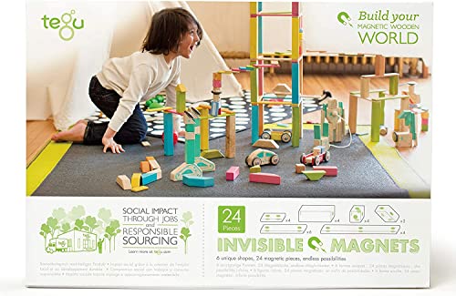 Tegu 24 Piece Tegu Magnetic Wooden Block Set Blossom 199 years old - Image 5