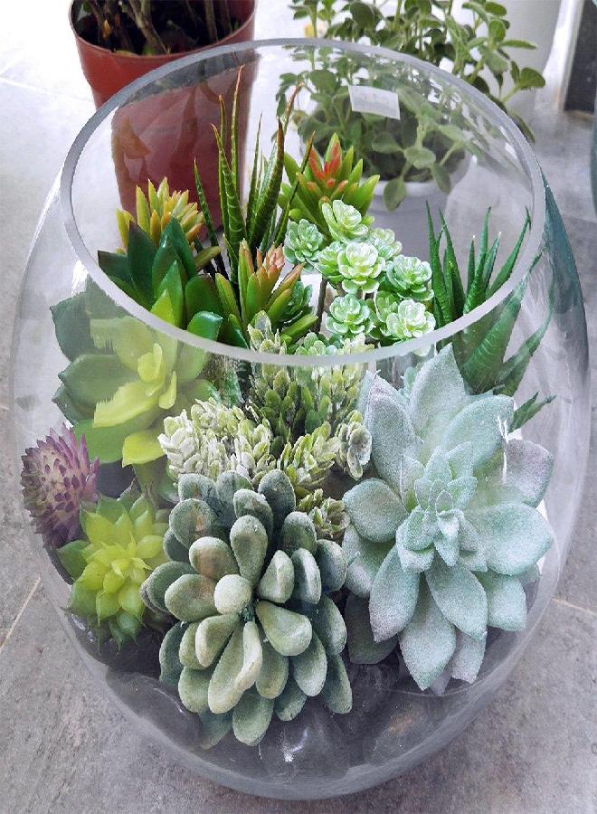 Supla Supla 14 Pcs Artificial Succulents Plants in Bulk Assorted Unpotted Hanging String of Pearls Cactus Aloe Picks Small Fake Succulents for Wreath Centerpiece Floral Arrangement Indoor Outdoor Home Décor  - Image 2