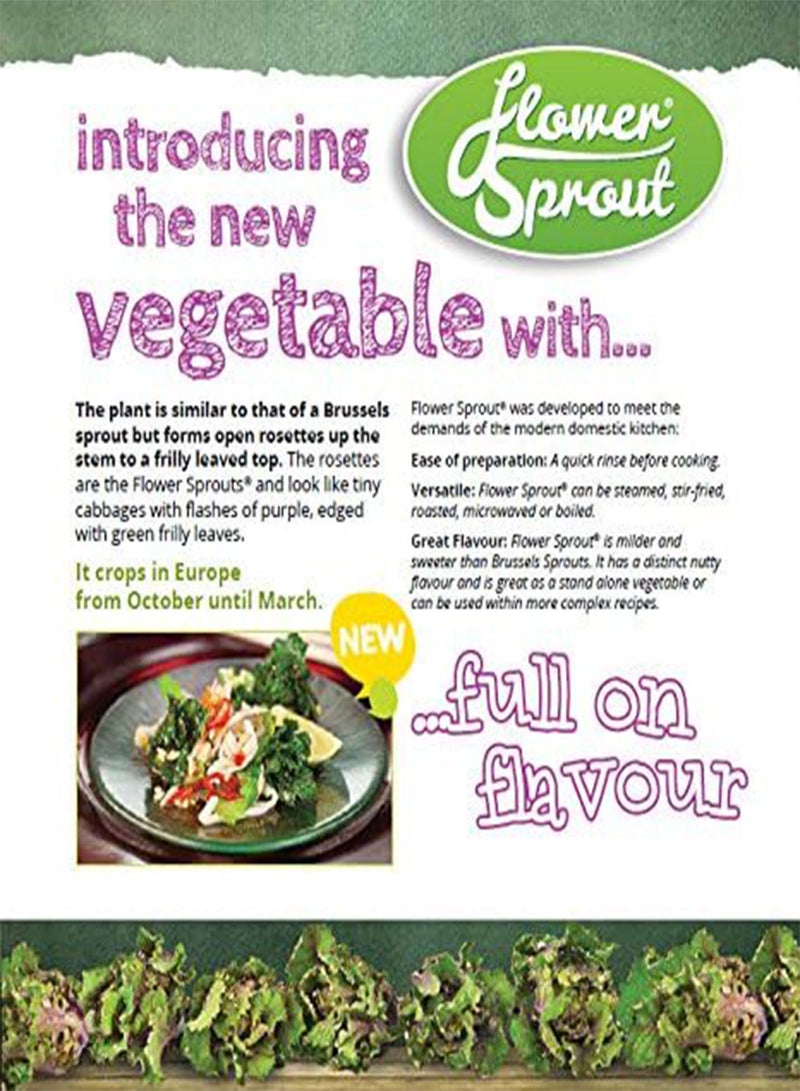 جي جوت - 20 × بذور كاليتس المعروفة سابقًا باسم بذور الخضروات الصغيرة من نوع براعم الزهور - Image 3