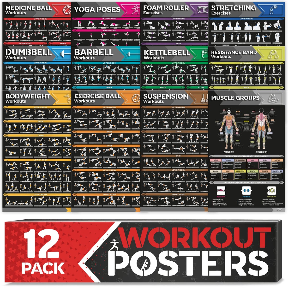 GRAND BASICS [12-PACK] Laminated Large Workout Poster Set - Perfect ...