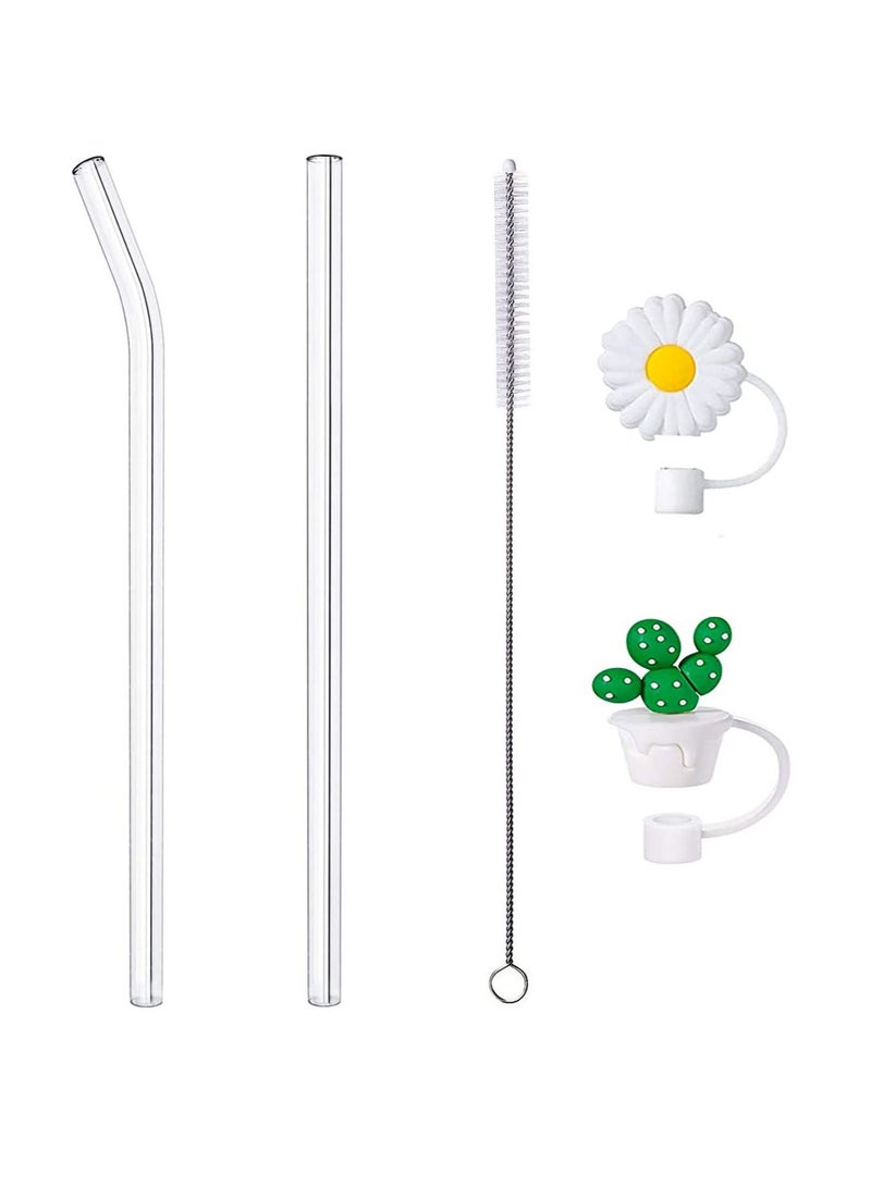 FASHION HOME Replacement Glass Straws With Cleaning Brush And Silicone Straw Cover Caps - Image 1