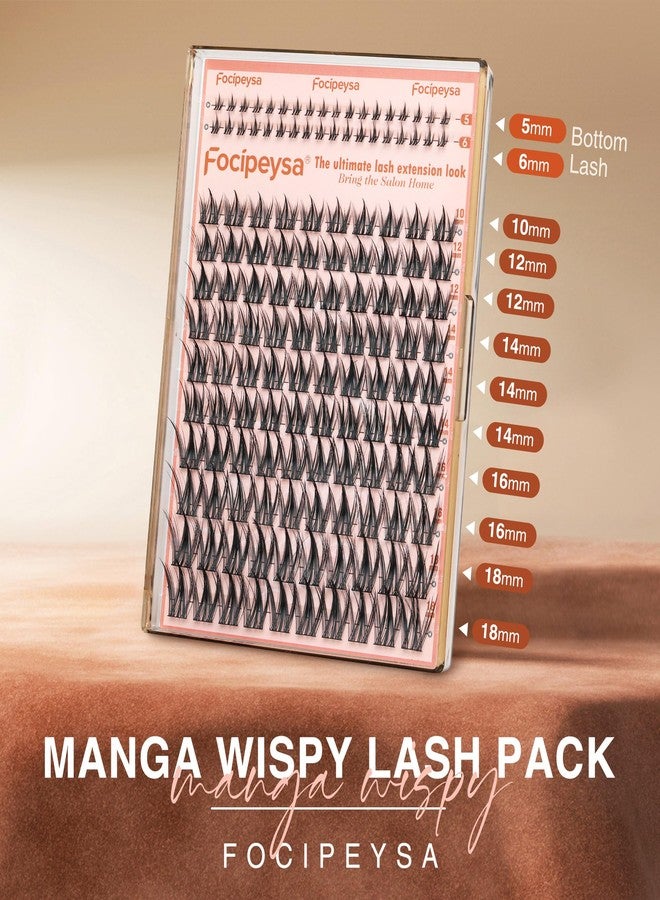 Focipeysa Natural Eyelash Clusters Spiky Lash Clusters 120 PCS Lashes Extensions with Bottom Lashes 8-16mm CD Curly Individual Lash Clusters Wispy DIY Lash Extension at Home - Image 3